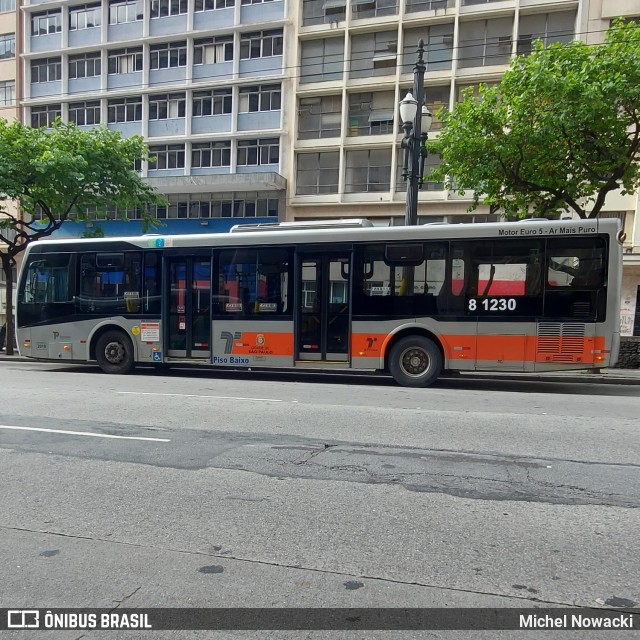 TRANSPPASS - Transporte de Passageiros 8 1230 na cidade de São Paulo, São Paulo, Brasil, por Michel Nowacki. ID da foto: 11967277.