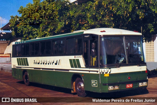 Auto Viação Camurujipe 1491 na cidade de Salvador, Bahia, Brasil, por Waldemar Pereira de Freitas Junior. ID da foto: 11966262.