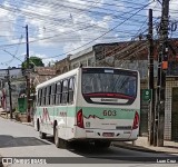 Viação Mirim 603 na cidade de Jaboatão dos Guararapes, Pernambuco, Brasil, por Luan Cruz. ID da foto: :id.