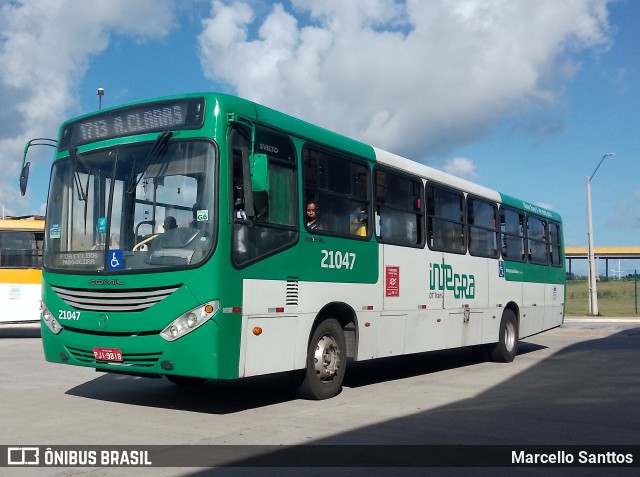 OT Trans - Ótima Salvador Transportes 21047 na cidade de Salvador, Bahia, Brasil, por Marcello Santtos. ID da foto: 11974765.