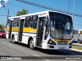 Linlex Transportes 1299 na cidade de Gravataí, Rio Grande do Sul, Brasil, por Emerson Dorneles. ID da foto: :id.