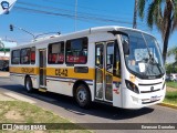 Linlex Transportes CE-42 na cidade de Gravataí, Rio Grande do Sul, Brasil, por Emerson Dorneles. ID da foto: :id.