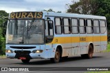 Transporte Rural 378 na cidade de Jacarezinho, Paraná, Brasil, por Gabriel Marciniuk. ID da foto: :id.