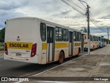 TransPremium 804 na cidade de Parnaíba, Piauí, Brasil, por Otto Danger. ID da foto: :id.