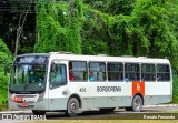 Borborema Imperial Transportes 403 na cidade de Recife, Pernambuco, Brasil, por Renato Fernando. ID da foto: :id.