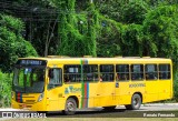 Borborema Imperial Transportes 313 na cidade de Recife, Pernambuco, Brasil, por Renato Fernando. ID da foto: :id.