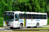 Borborema Imperial Transportes 281 na cidade de Recife, Pernambuco, Brasil, por Renato Fernando. ID da foto: :id.