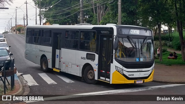 Pontual Sul Transporte e Turismo 6450 na cidade de Botucatu, São Paulo, Brasil, por Braian Kevin. ID da foto: 11916269.