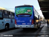 SOPAL - Sociedade de Ônibus Porto-Alegrense Ltda. 6603 na cidade de Porto Alegre, Rio Grande do Sul, Brasil, por Gabriel Cafruni. ID da foto: :id.