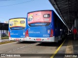 SOPAL - Sociedade de Ônibus Porto-Alegrense Ltda. 6629 na cidade de Porto Alegre, Rio Grande do Sul, Brasil, por Gabriel Cafruni. ID da foto: :id.