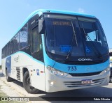 TransPessoal Transportes 733 na cidade de Rio Grande, Rio Grande do Sul, Brasil, por Fábio Oliveira. ID da foto: :id.