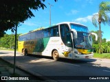 Empresa Gontijo de Transportes 17195 na cidade de Ipatinga, Minas Gerais, Brasil, por Celso ROTA381. ID da foto: :id.