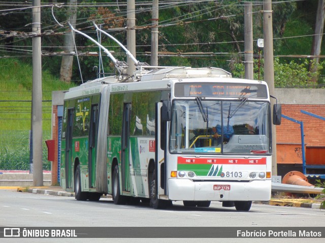 Next Mobilidade - ABC Sistema de Transporte 8103 na cidade de São Bernardo do Campo, São Paulo, Brasil, por Fabrício Portella Matos. ID da foto: 11930619.