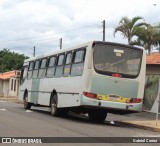 Ônibus Particulares 22429 na cidade de Rio das Pedras, São Paulo, Brasil, por Gabriel Correa. ID da foto: :id.