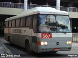 Borborema Imperial Transportes 567 na cidade de Recife, Pernambuco, Brasil, por Thiago Alex. ID da foto: :id.