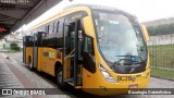 Transporte Coletivo Glória BC319 na cidade de Curitiba, Paraná, Brasil, por Busologia Gabrielística. ID da foto: :id.