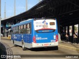 SOPAL - Sociedade de Ônibus Porto-Alegrense Ltda. 6602 na cidade de Porto Alegre, Rio Grande do Sul, Brasil, por Gabriel Cafruni. ID da foto: :id.