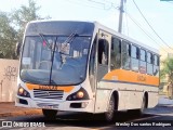 Linlex Transportes 1299 na cidade de Gravataí, Rio Grande do Sul, Brasil, por Wesley Dos santos Rodrigues. ID da foto: :id.