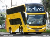 Brisa Ônibus 17203 na cidade de Juiz de Fora, Minas Gerais, Brasil, por Valter Silva. ID da foto: :id.