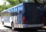 Bettania Ônibus 312XX na cidade de Belo Horizonte, Minas Gerais, Brasil, por Moisés Magno. ID da foto: :id.