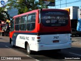 ATL - Associação dos Transportadores de Passageiros por Lotação 797 na cidade de Porto Alegre, Rio Grande do Sul, Brasil, por Emerson Dorneles. ID da foto: :id.