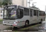 Ônibus Particulares EX-GL051 na cidade de Curitiba, Paraná, Brasil, por Busologia PR. ID da foto: :id.