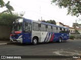 Expresso Metrópolis Transportes e Viagens MP-1163 na cidade de Jaguariúna, São Paulo, Brasil, por Felipe S.. ID da foto: :id.