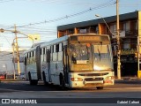 SOUL - Sociedade de Ônibus União Ltda. 7462 na cidade de Porto Alegre, Rio Grande do Sul, Brasil, por Gabriel Cafruni. ID da foto: :id.