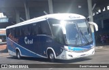 Citral Transporte e Turismo 906 na cidade de Porto Alegre, Rio Grande do Sul, Brasil, por David Verissimo Jsauro. ID da foto: :id.