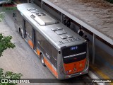 TRANSPPASS - Transporte de Passageiros 8 1253 na cidade de São Paulo, São Paulo, Brasil, por Felipe Arguelho. ID da foto: :id.