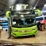FlixBus Transporte e Tecnologia do Brasil 2305 na cidade de Belo Horizonte, Minas Gerais, Brasil, por Edinilson Henrique Ferreira. ID da foto: :id.