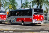 Allibus Transportes 4 5366 na cidade de São Paulo, São Paulo, Brasil, por Giovanni Melo. ID da foto: :id.