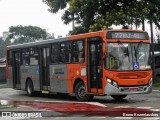 TRANSPPASS - Transporte de Passageiros 8 0343 na cidade de São Paulo, São Paulo, Brasil, por Bruno Kozeniauskas. ID da foto: :id.