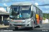 Transportes Capellini 13481 na cidade de Americana, São Paulo, Brasil, por Thiago Silva. ID da foto: :id.