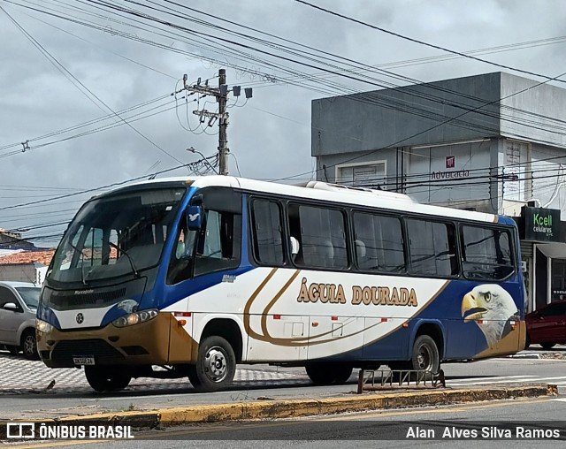 Águia Dourada 20111 na cidade de Aracaju, Sergipe, Brasil, por Alan  Alves Silva Ramos. ID da foto: 12056327.