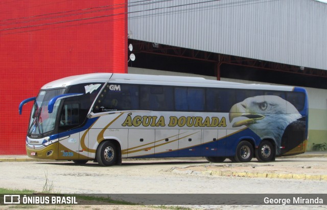 Águia Dourada 2039 na cidade de Caruaru, Pernambuco, Brasil, por George Miranda. ID da foto: 12057256.