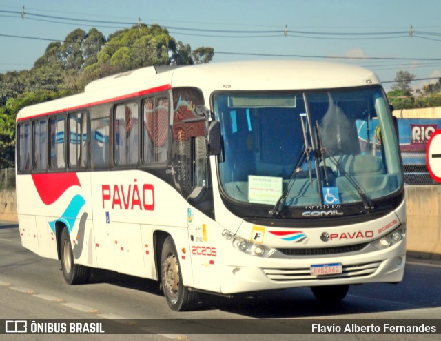 Turismo Pavão 20205 na cidade de Mairinque, São Paulo, Brasil, por Flavio Alberto Fernandes. ID da foto: 12055847.