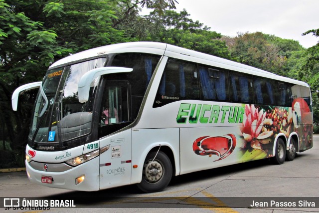 Eucatur - Empresa União Cascavel de Transportes e Turismo 4919 na cidade de São Paulo, São Paulo, Brasil, por Jean Passos Silva. ID da foto: 12056570.