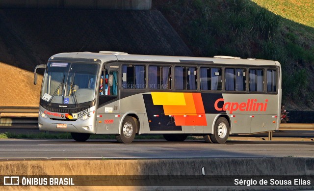 Transportes Capellini 13391 na cidade de Sumaré, São Paulo, Brasil, por Sérgio de Sousa Elias. ID da foto: 12060657.