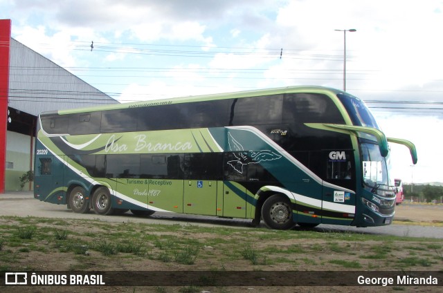 Asa Branca Turismo 20209 na cidade de Caruaru, Pernambuco, Brasil, por George Miranda. ID da foto: 12060043.