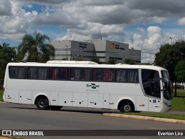 Embrapa 5091 na cidade de Brasília, Distrito Federal, Brasil, por Everton Lira. ID da foto: 12059457.
