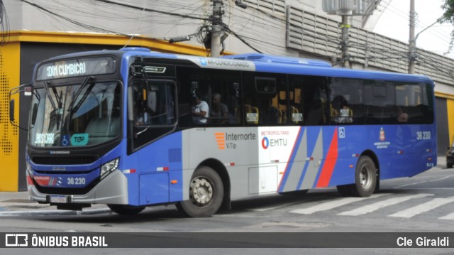 Vipol Transportes Rodoviários - TIPBUS - Transportes Intermunicipal 36.230 na cidade de São Paulo, São Paulo, Brasil, por Cle Giraldi. ID da foto: 12060288.