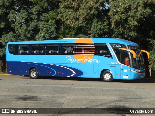 Empresa de Ônibus Pássaro Marron 5873 na cidade de São Paulo, São Paulo, Brasil, por Osvaldo Born. ID da foto: 12059214.