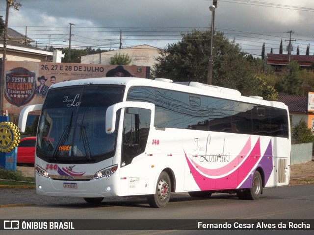 TransLourdes Transporte e Fretamento 340 na cidade de Tijucas do Sul, Paraná, Brasil, por Fernando Cesar Alves da Rocha. ID da foto: 12058559.