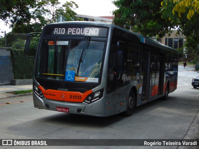 TRANSPPASS - Transporte de Passageiros 8 0513 na cidade de São Paulo, São Paulo, Brasil, por Rogério Teixeira Varadi. ID da foto: 12059499.
