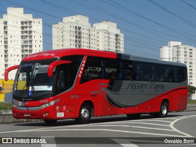 Empresa de Ônibus Pássaro Marron 5813 na cidade de São José dos Campos, São Paulo, Brasil, por Osvaldo Born. ID da foto: 12059625.
