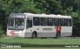 Borborema Imperial Transportes 419 na cidade de Recife, Pernambuco, Brasil, por George Miranda. ID da foto: :id.