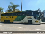 Empresa Gontijo de Transportes 15075 na cidade de Ipatinga, Minas Gerais, Brasil, por Celso ROTA381. ID da foto: :id.