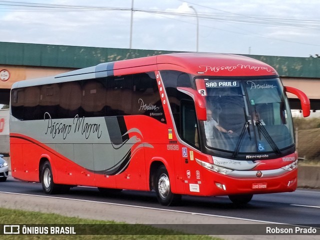 Empresa de Ônibus Pássaro Marron 5936 na cidade de São José dos Campos, São Paulo, Brasil, por Robson Prado. ID da foto: 12062477.