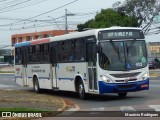 SOGIL - Sociedade de Ônibus Gigante Ltda. 113 na cidade de Gravataí, Rio Grande do Sul, Brasil, por Maurício Rodrigues. ID da foto: :id.